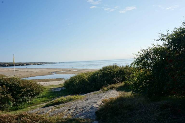 foto41