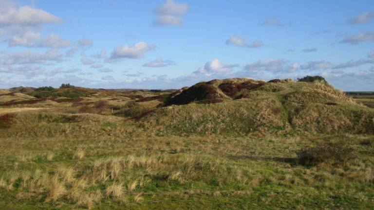 Ferienhaus Langeoog