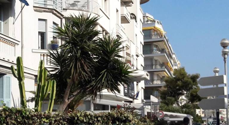 Fully equipped rental apartment with yard | Next to Promenade des Anglais | Close to the beach | Dogs allowed — photo 4