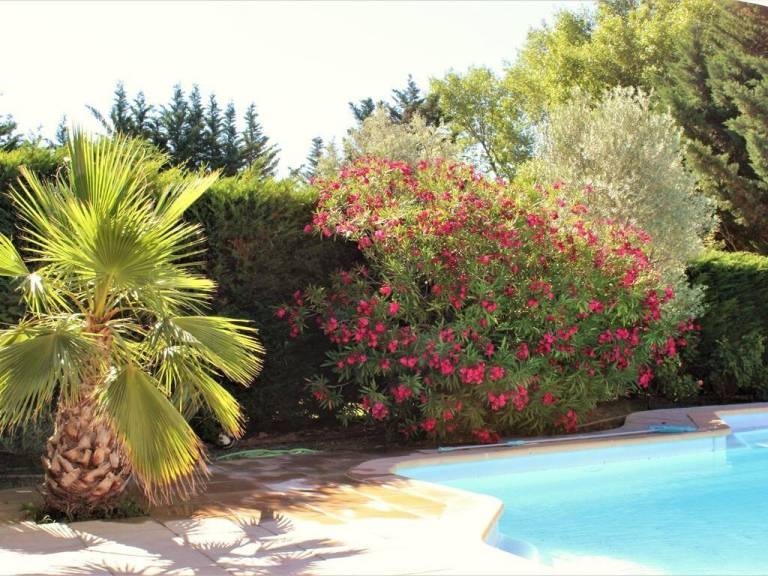 Child-friendly pleasant villa with garden, barbeque & private pool | Garden view | Pets are welcome — photo 3