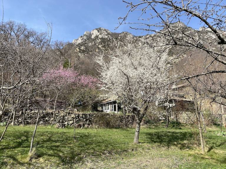 Maison de vacances Saou