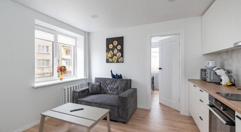Apartment | Pet-friendly in Kaunas