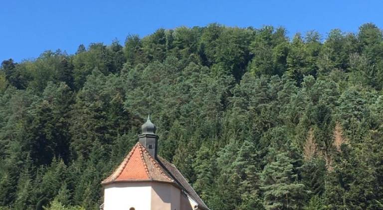 foto40