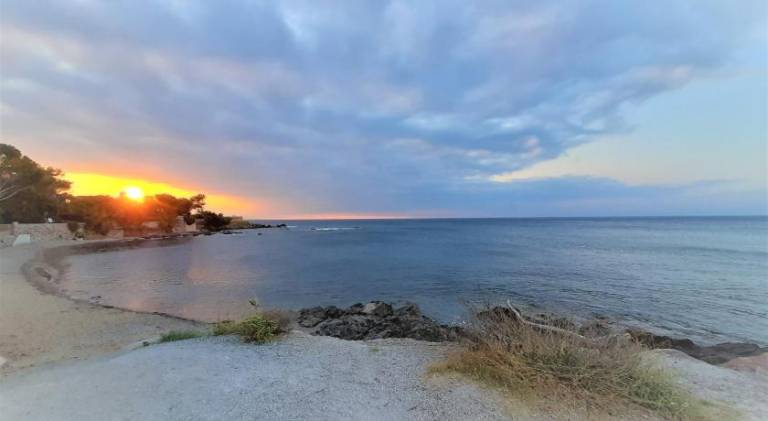 Apartment | Pet-friendly — photo 5