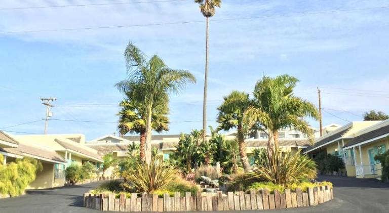 Beach Bungalow Inn and Suites — photo 5