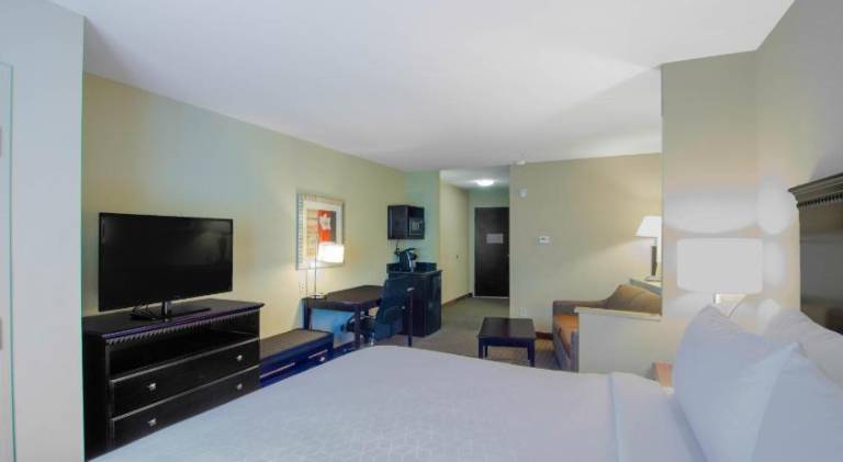 Comfort Suites Mobile-South Alabama University Area — photo 2