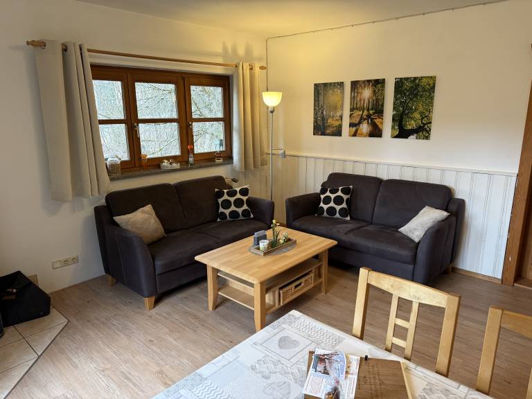 Family-oriented nice vacation home with BBQ & terrace | River view | Pet-friendly — photo 2