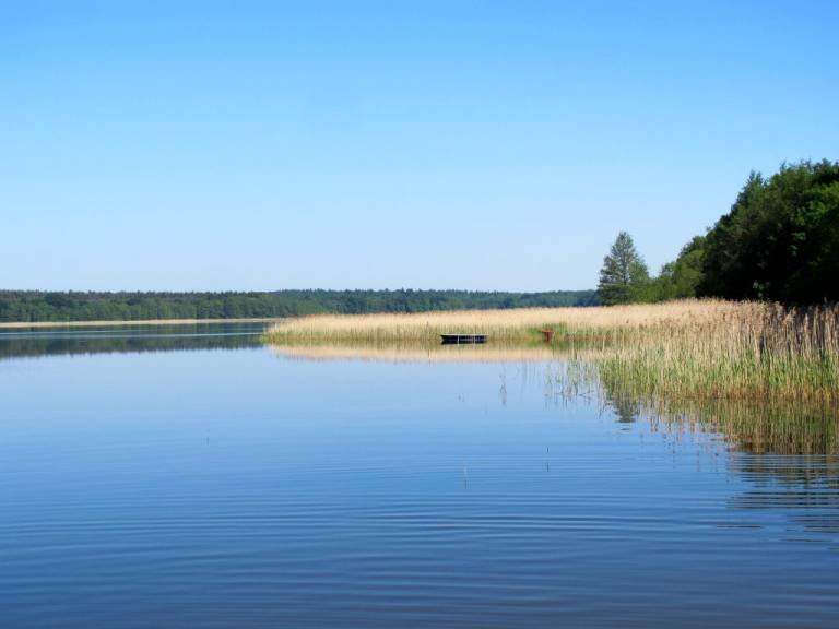 foto11