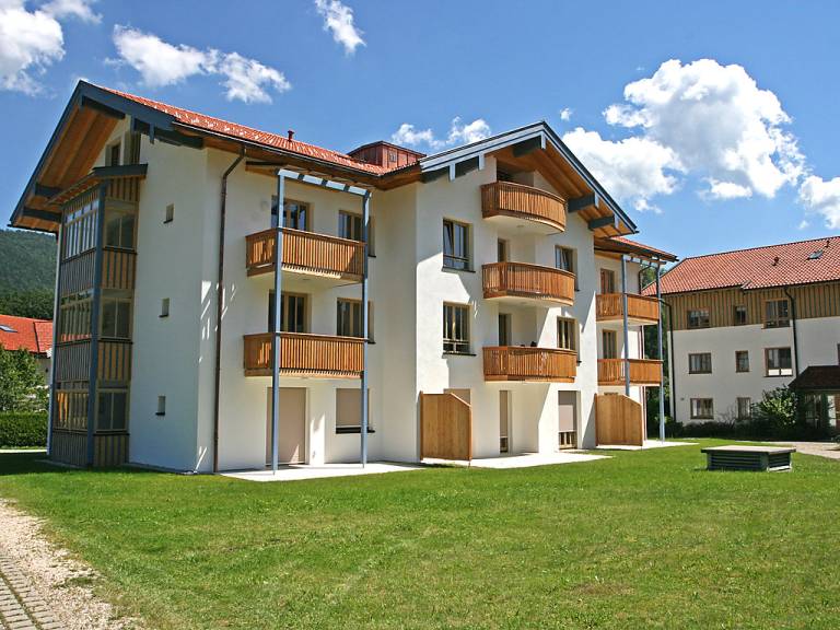 foto1