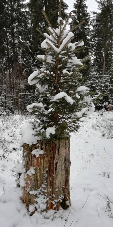 foto11
