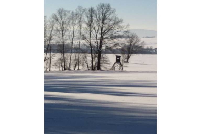 foto14