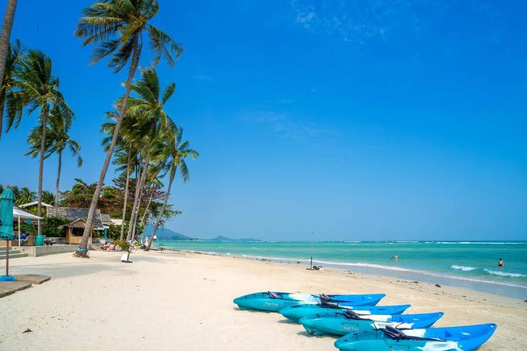 Shiva Samui Luxury Villas — photo 2