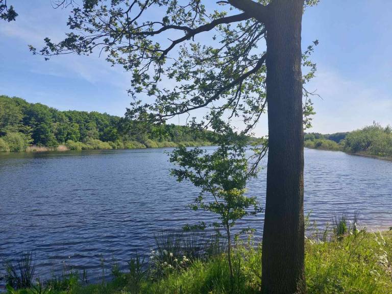 foto24