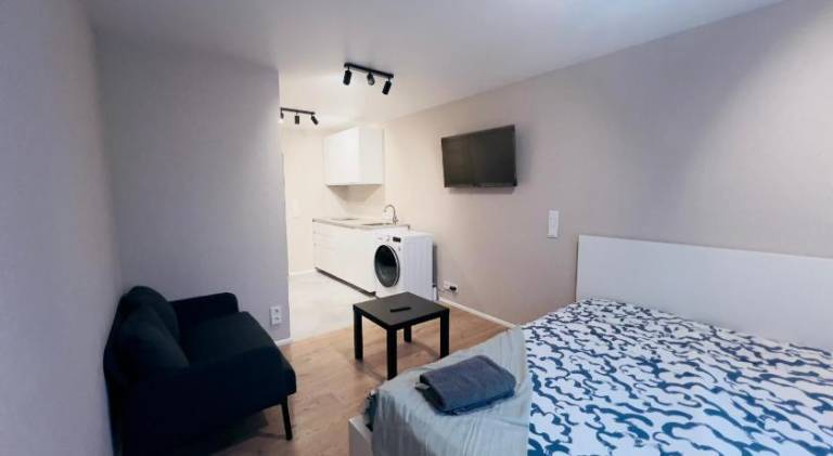 Wonderful rental apartment | Pets are welcome in Vilnius