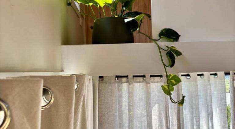 foto21