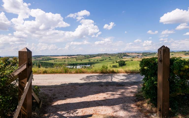 foto41