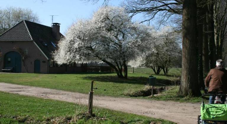 foto14