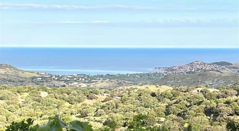 Rental apartment | Pet-friendly in Lesvos