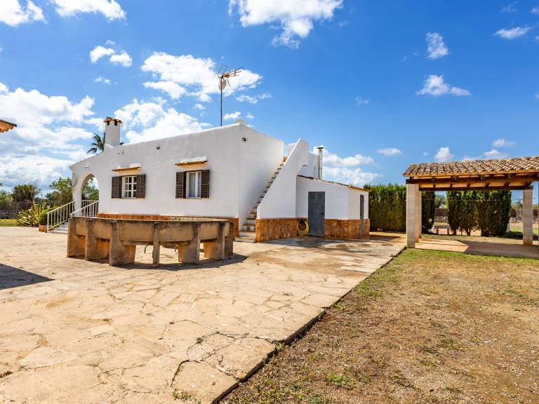 foto4