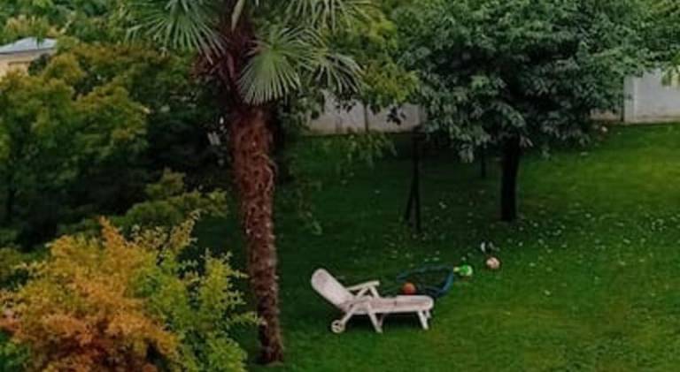 foto6