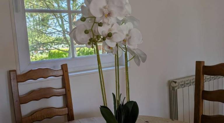 foto25