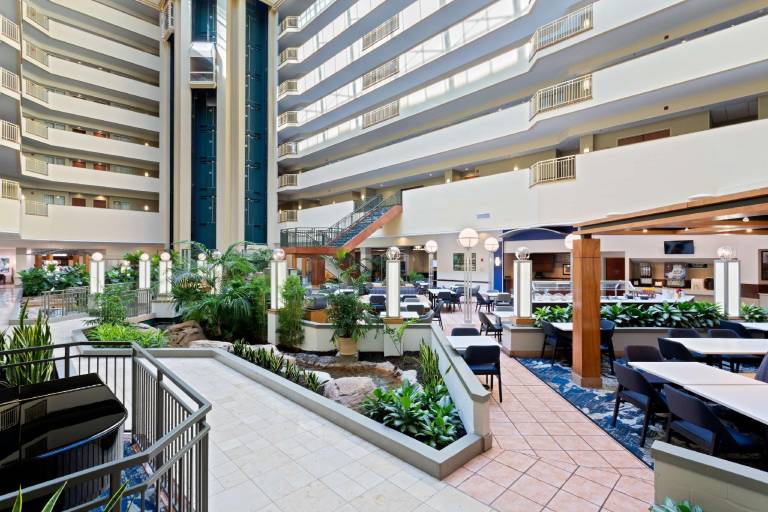Embassy Suites by Hilton Tampa USF Near Busch Gardens — photo 2