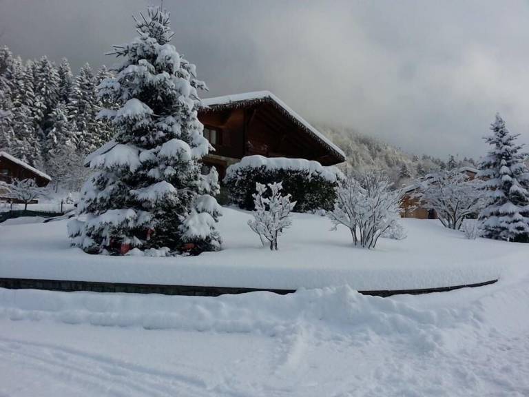 Chalet  Les Saisies
