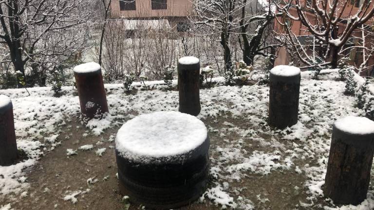 foto41