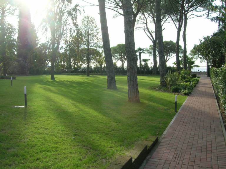 foto19