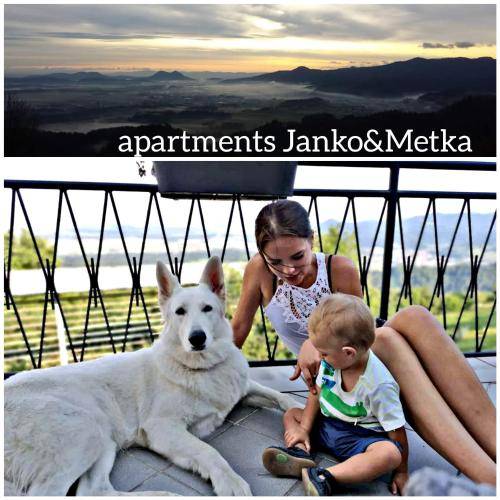 Apartma  Zgornje Bitnje