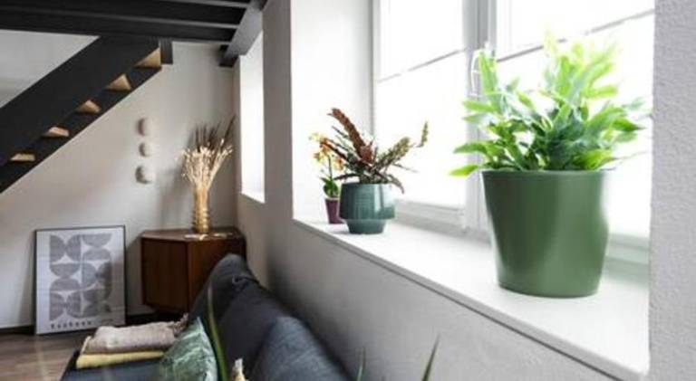 Beautiful apartment | Pet-friendly — photo 2