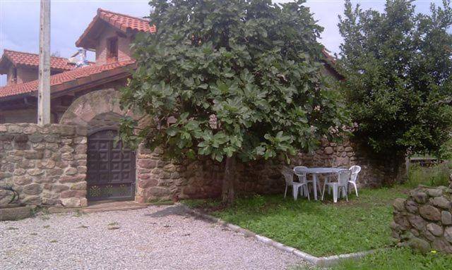 foto8