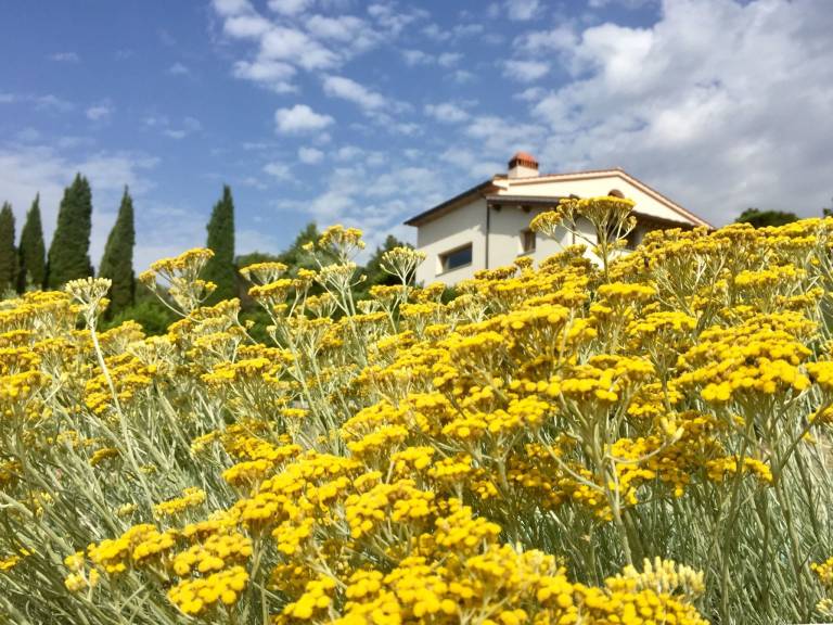 Villa mit Pool und zauberhafter Aussicht — photo 5