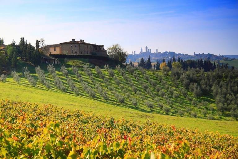 Bauernhof San Gimignano