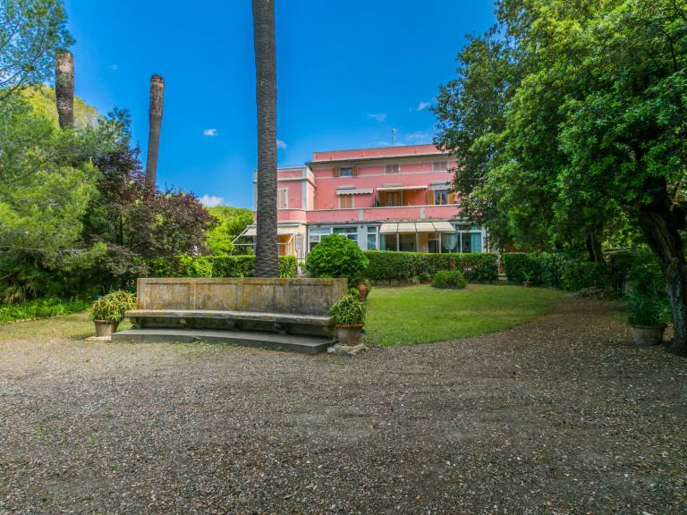 foto42