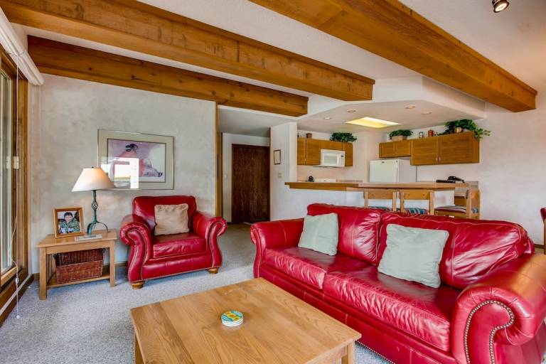 Condo Crested Butte