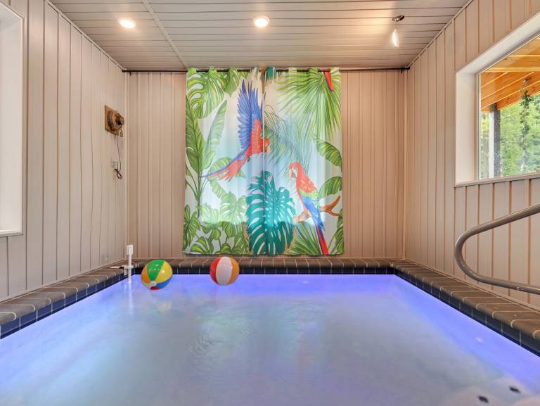 Cabin with private pool & terrace — photo 3