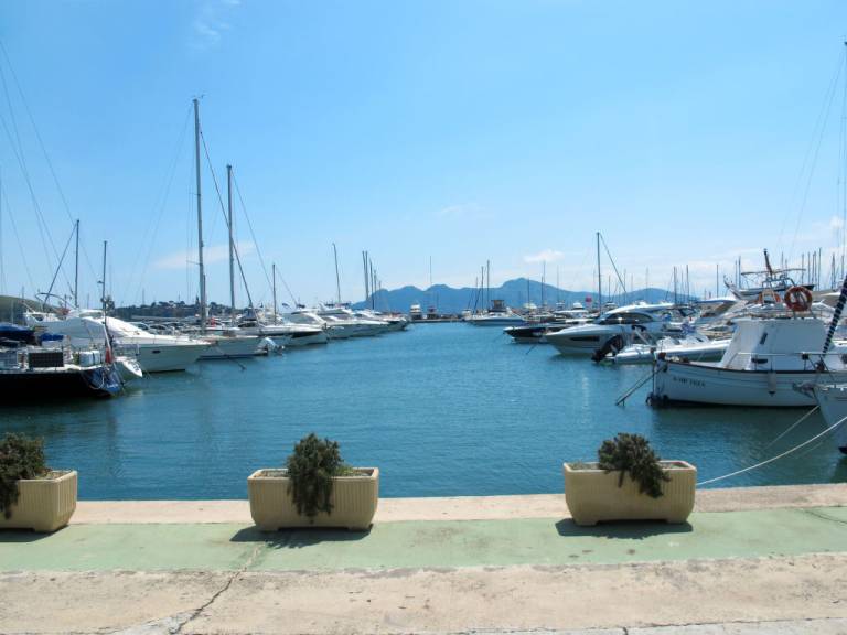 foto41