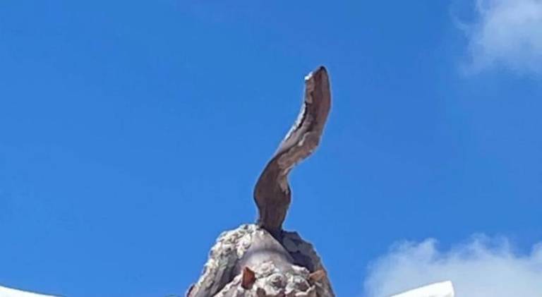 foto45