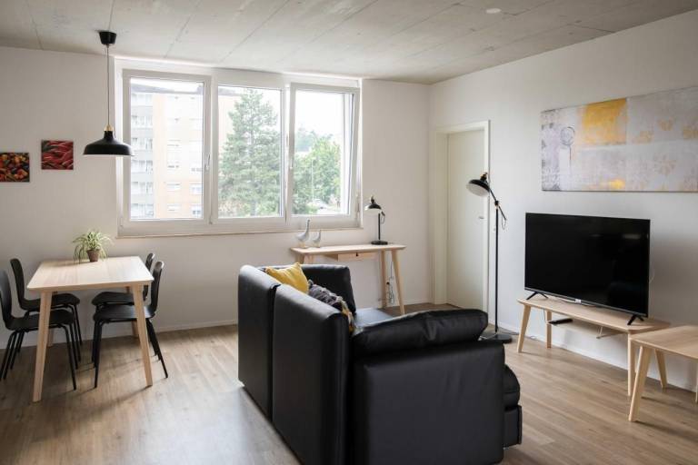 Ferienwohnung Neuhausen am Rheinfall