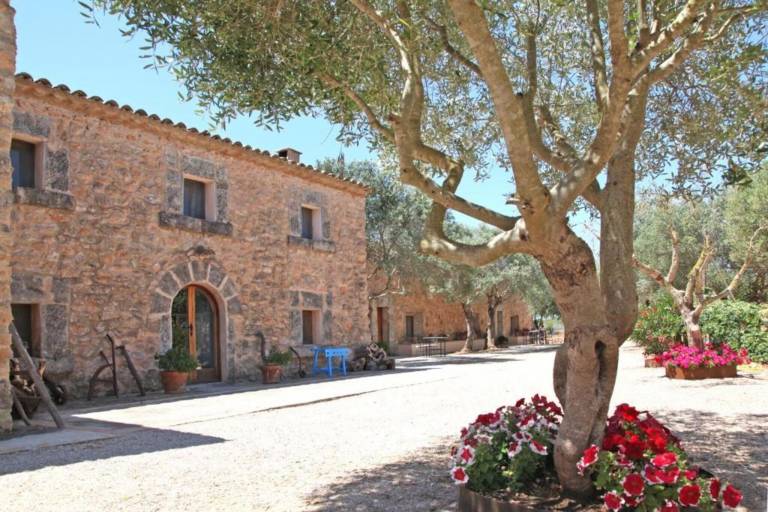 Apartamento  Lluchmayor