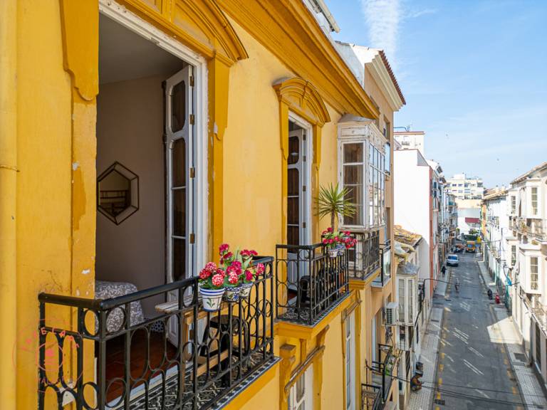 Beautiful Flat Near Plaza Merced TakeCareMalaga