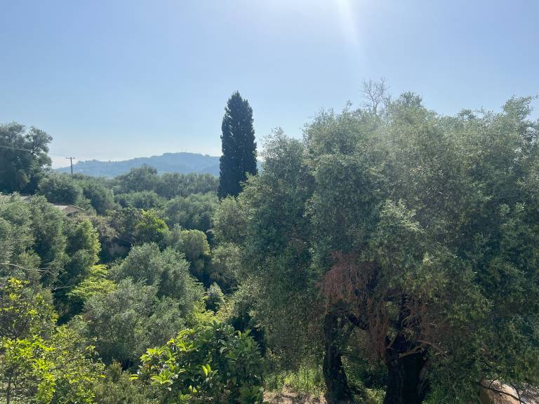 foto44