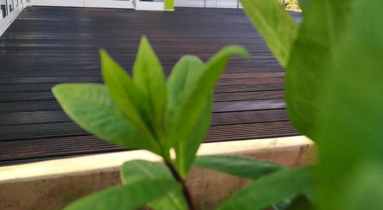 foto5