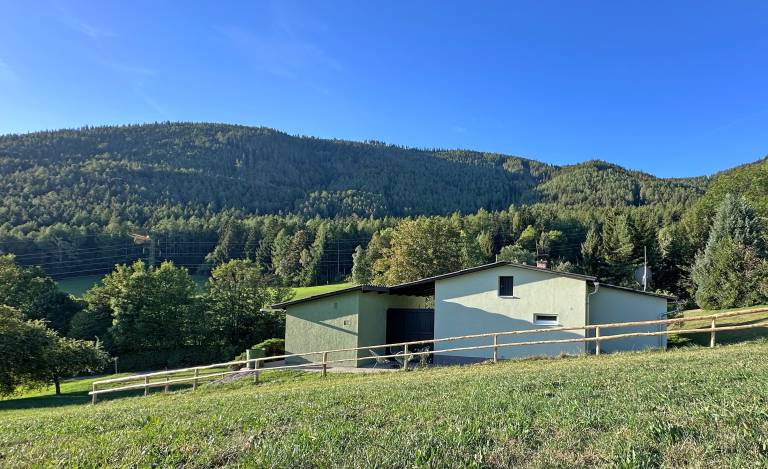 Ferienhaus mit Hund in Schlagl, Niederösterreich fuer max. 6 Personen