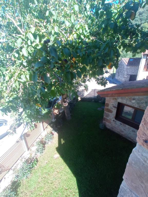 foto33