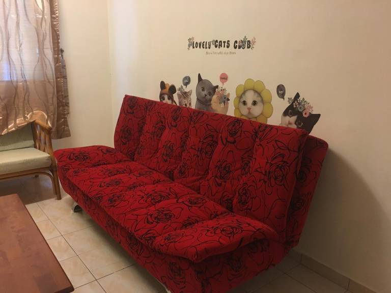 foto11