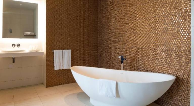 Radisson Hotel & Suites Amsterdam South — photo 5
