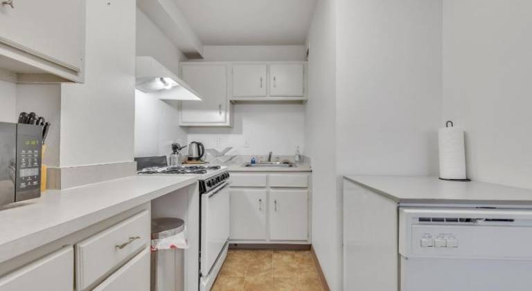 PP 1506 Beautiful Professional 1br Apt, Pool — photo 5