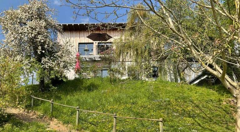 Rental apartment | Pets allowed in Trier